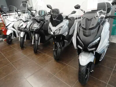 QJ Motor MTX 300 (2025 - 26) nuova