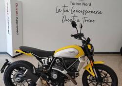 Ducati Scrambler 800 Icon (2023 - 25) usata