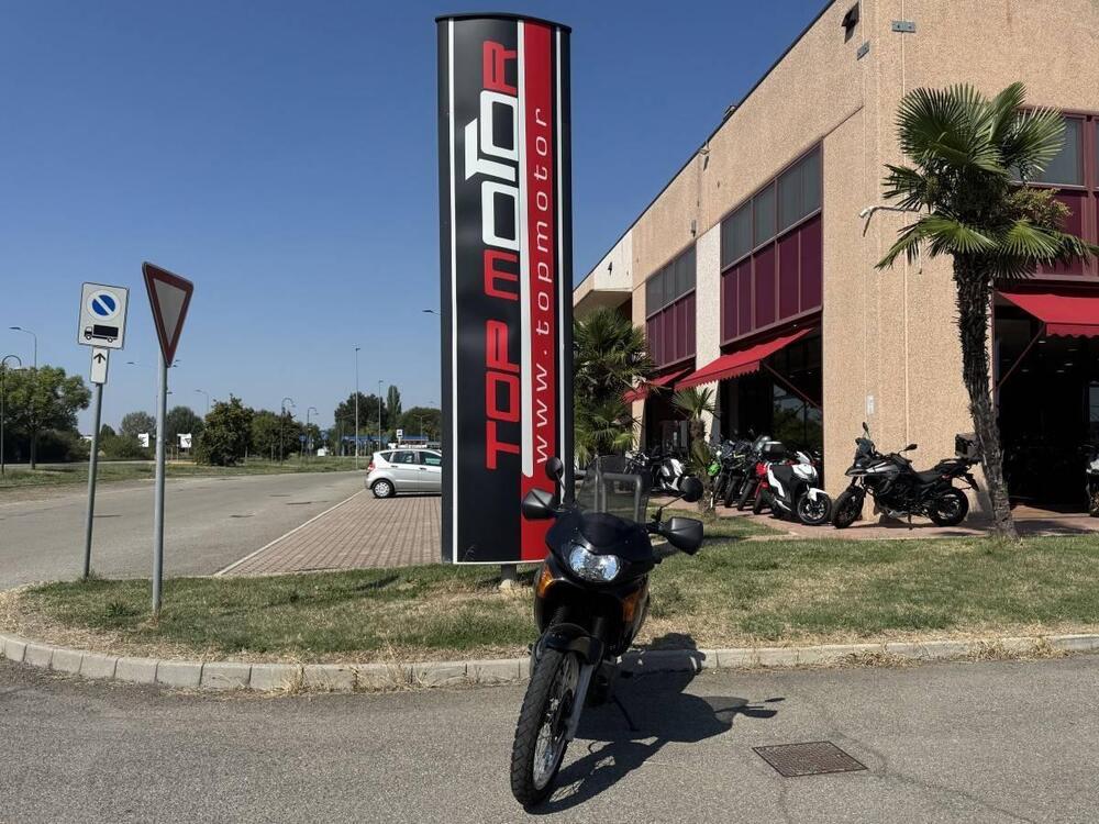 Honda Transalp XL 650V (2000 - 04) (2)