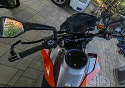 KTM 790 Duke (2018 - 20) usata