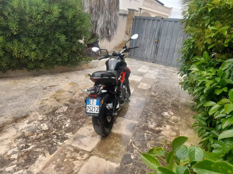 Benelli BN 302 S (2019 - 20)