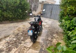 Benelli BN 302 S (2019 - 20) usata