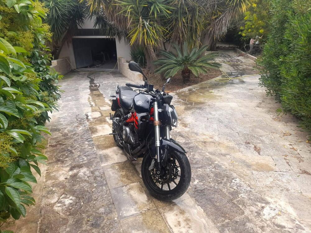 Benelli BN 302 S (2019 - 20) (2)