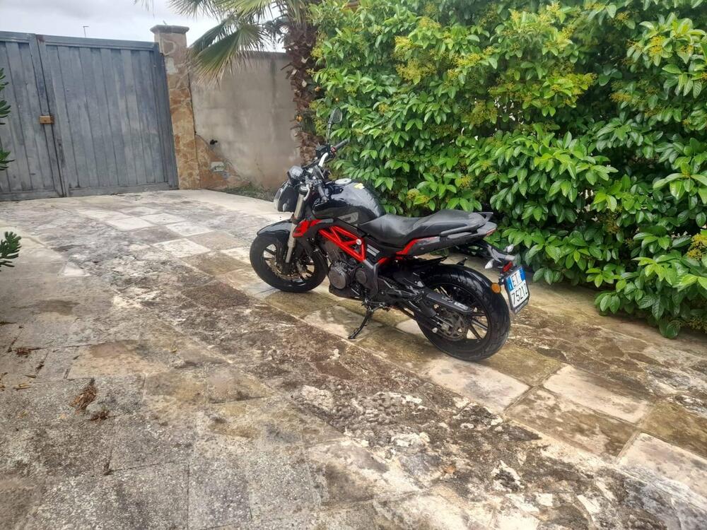 Benelli BN 302 S (2019 - 20) (3)