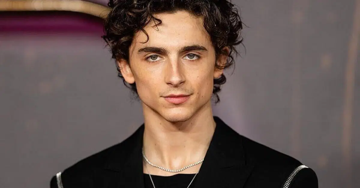 High Side: un film con Timoth&eacute;e Chalamet tra fango, motori e rapine