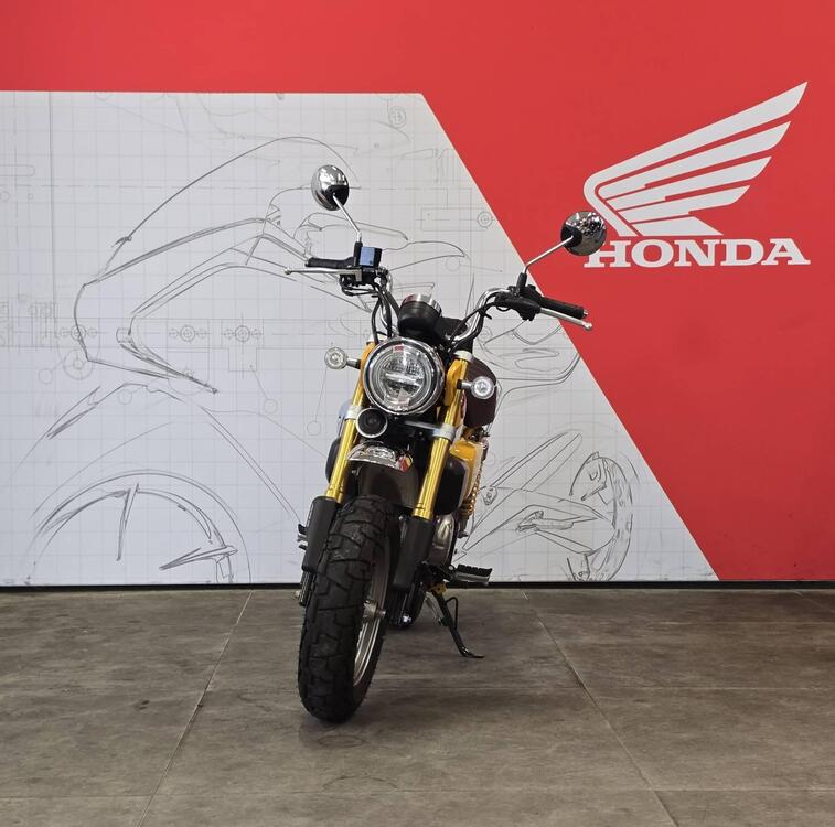 Honda Monkey 125 (2018 - 20) (2)