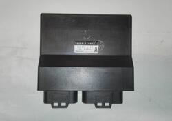 Centralina Suzuki Bandit 650