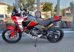 Ducati DesertX Discovery (2025) usata
