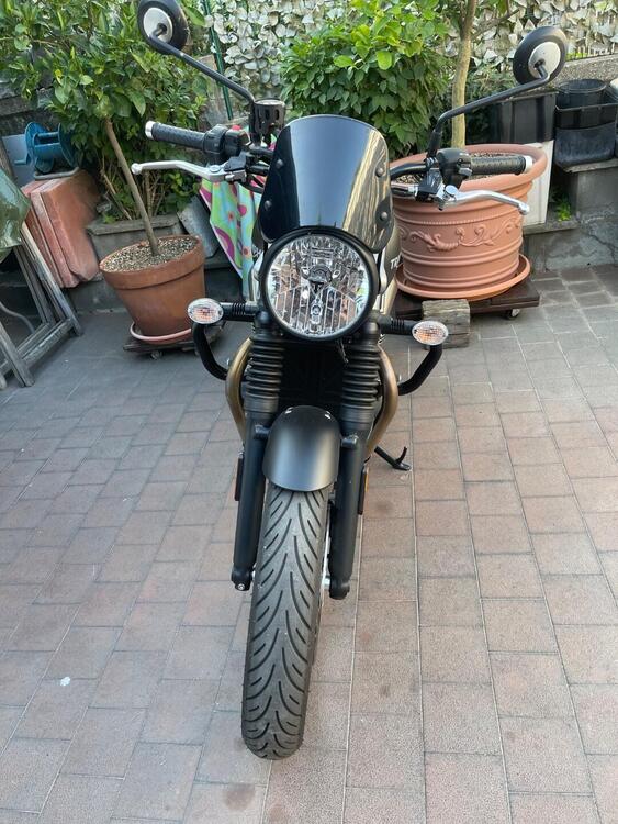 Triumph Speed Twin 900 (2023 - 24) (3)