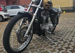 Harley-Davidson 883 (2006 - 07) - XL usata