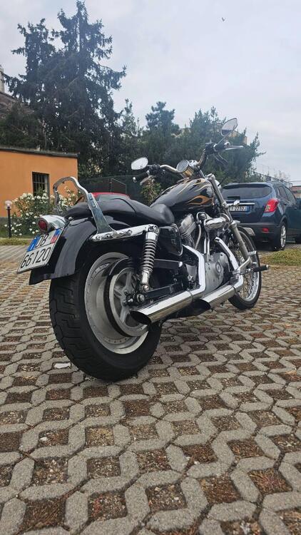 Harley-Davidson 883 (2006 - 07) - XL (3)