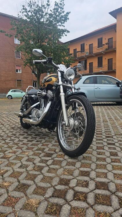 Harley-Davidson 883 (2006 - 07) - XL (4)