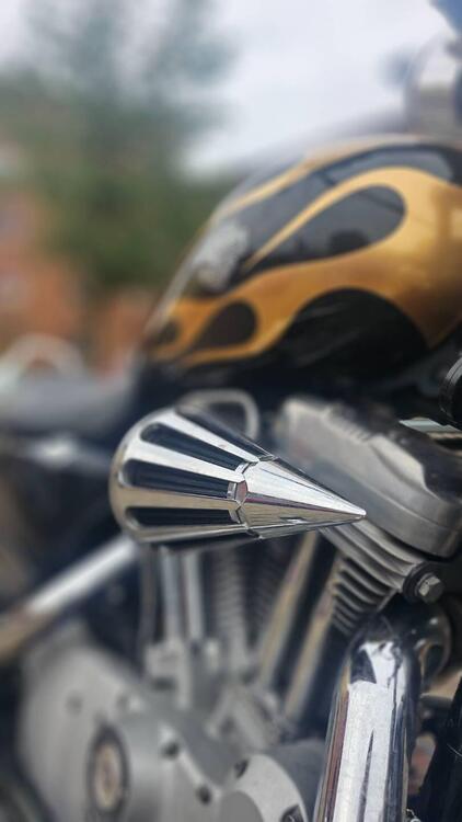 Harley-Davidson 883 (2006 - 07) - XL (5)