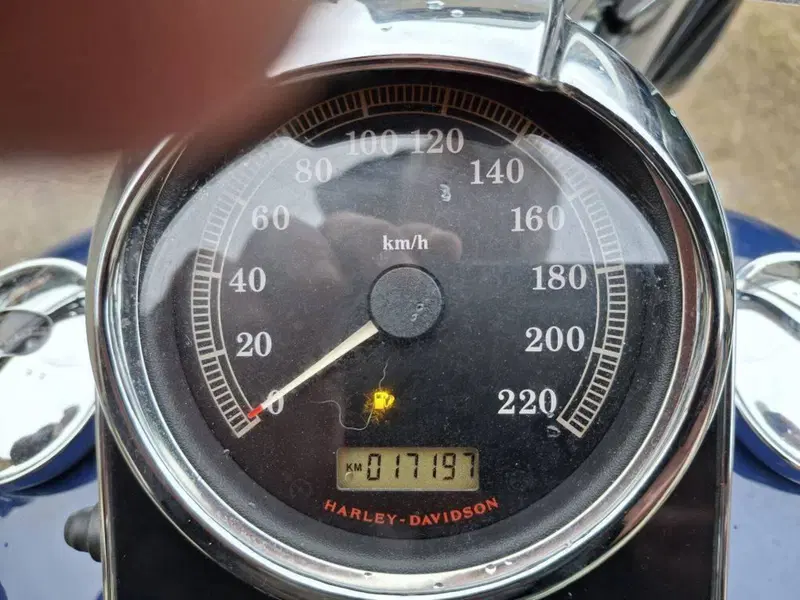 Harley-Davidson 1584 Deluxe (2007 - 08) - FLSTN (3)