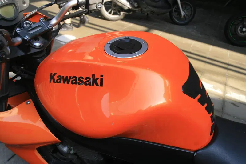 Kawasaki ER-6N (2005 - 08) (3)