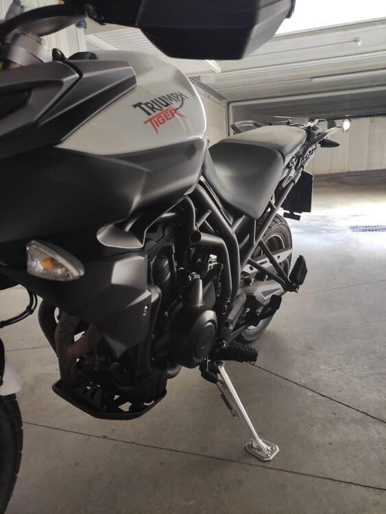 Triumph Tiger 800 ABS (2010 - 14) (5)