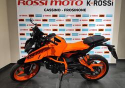 KTM 390 Duke (2024 - 26) usata