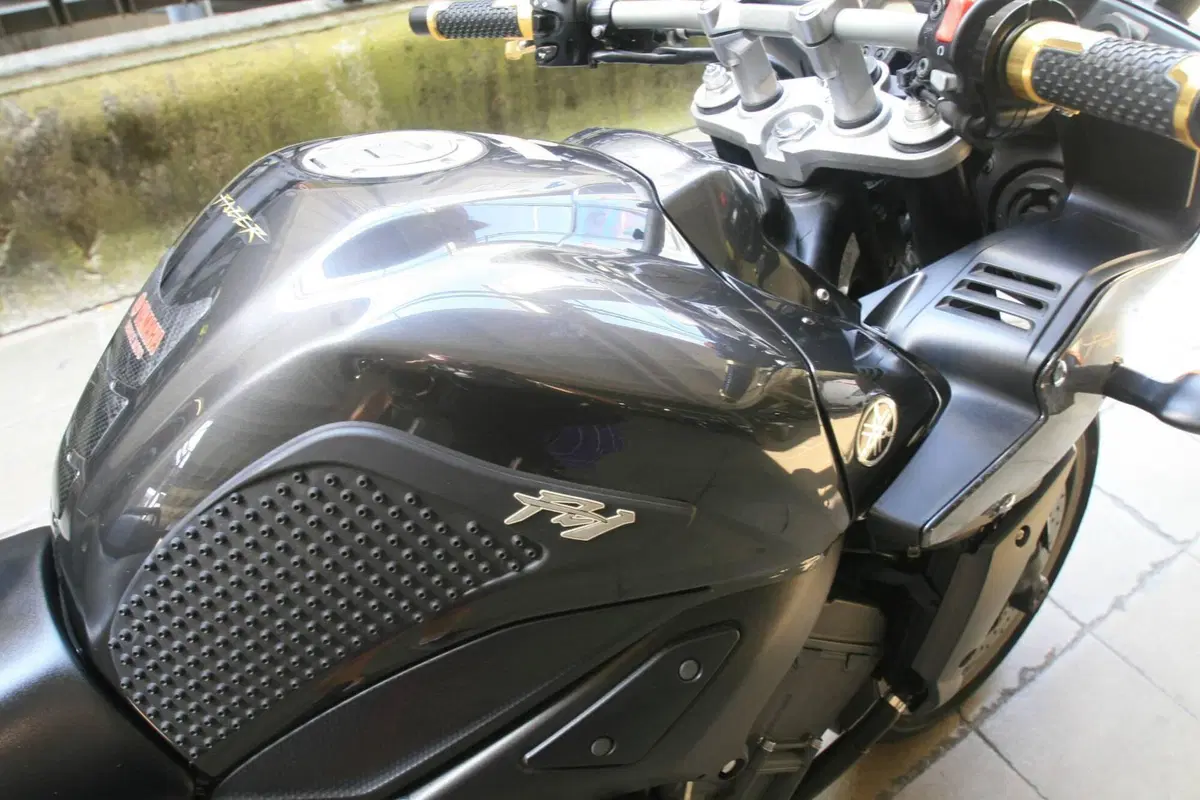 Yamaha FZ1 Fazer (2006 - 16) (4)