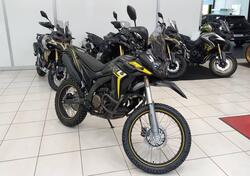 Voge Valico 300 Rally (2022 - 25) nuova