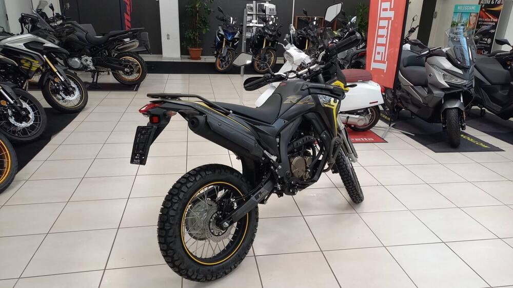 Voge Valico 300 Rally (2022 - 25) (2)