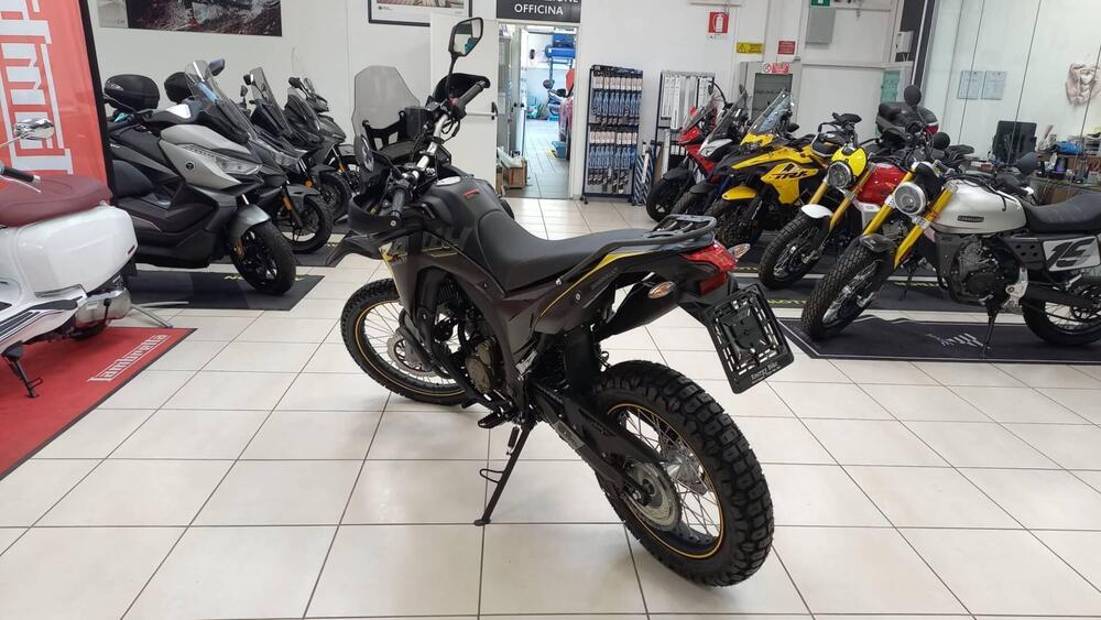 Voge Valico 300 Rally (2022 - 25) (3)