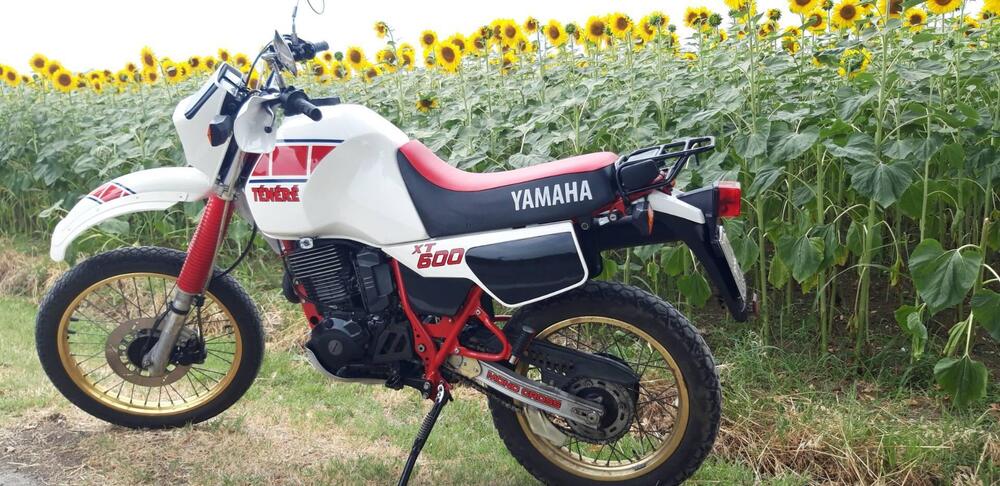 Yamaha Tenere 600 34l (2)
