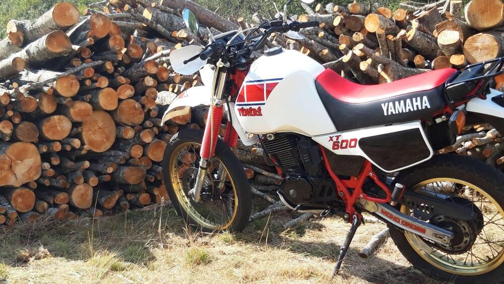 Yamaha Tenere 600 34l (4)