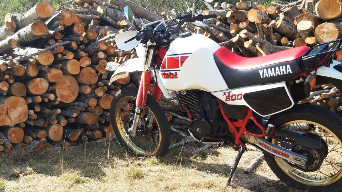 Yamaha Tenere 600 34l (4)