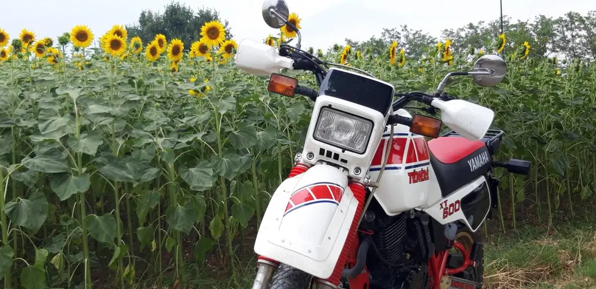 Yamaha Tenere 600 34l (3)