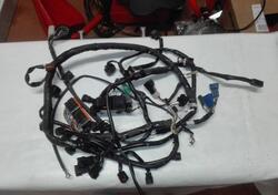 Impianto elettrico Suzuki Bandit 650