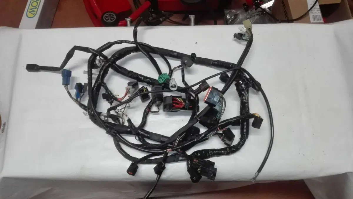Impianto elettrico Suzuki Bandit 650 (2)