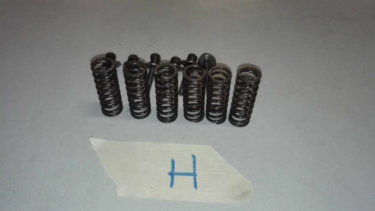 Molle e bulloni frizione hiro 125 frizione ad olio (3)