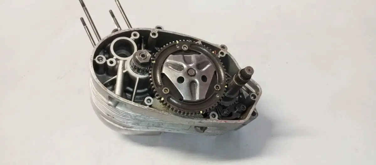 MOTORE SACHS 50 CORSA CORTA (6)