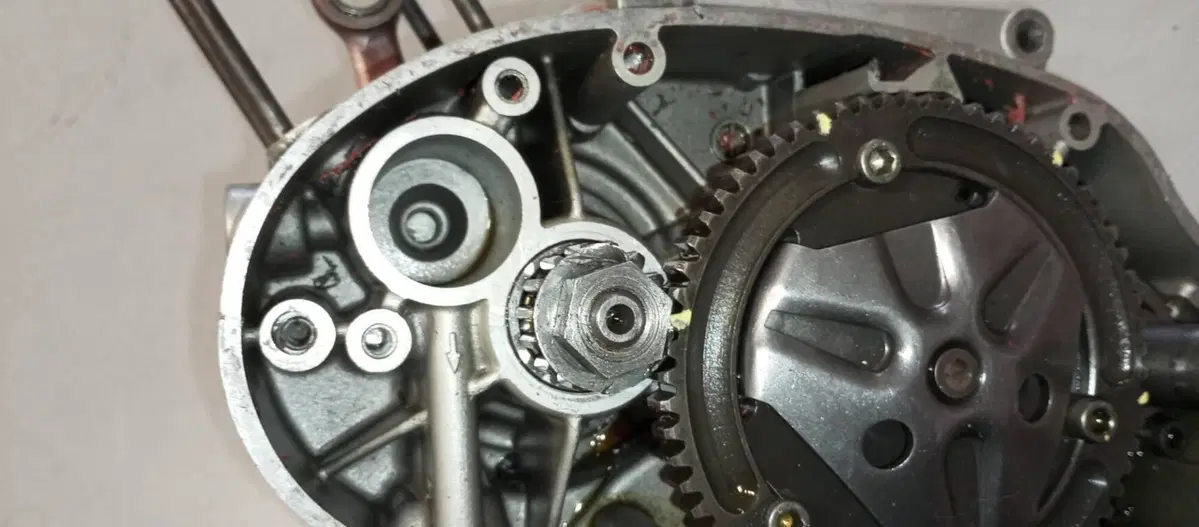 MOTORE SACHS 50 CORSA CORTA (8)