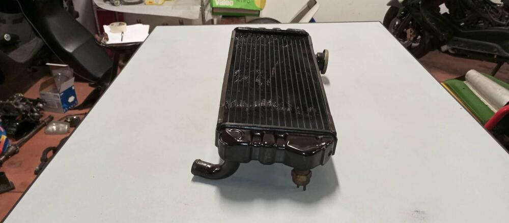 Radiatore Honda cx 500 turbo (3)