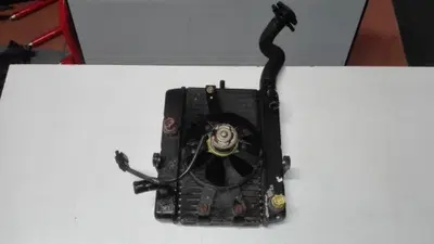 Radiatore Yamaha Majesty 250