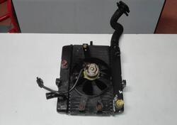 Radiatore Yamaha Majesty 250