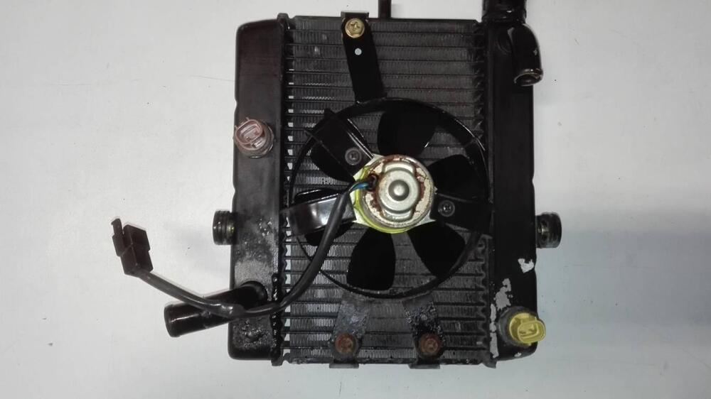 Radiatore Yamaha Majesty 250 (2)