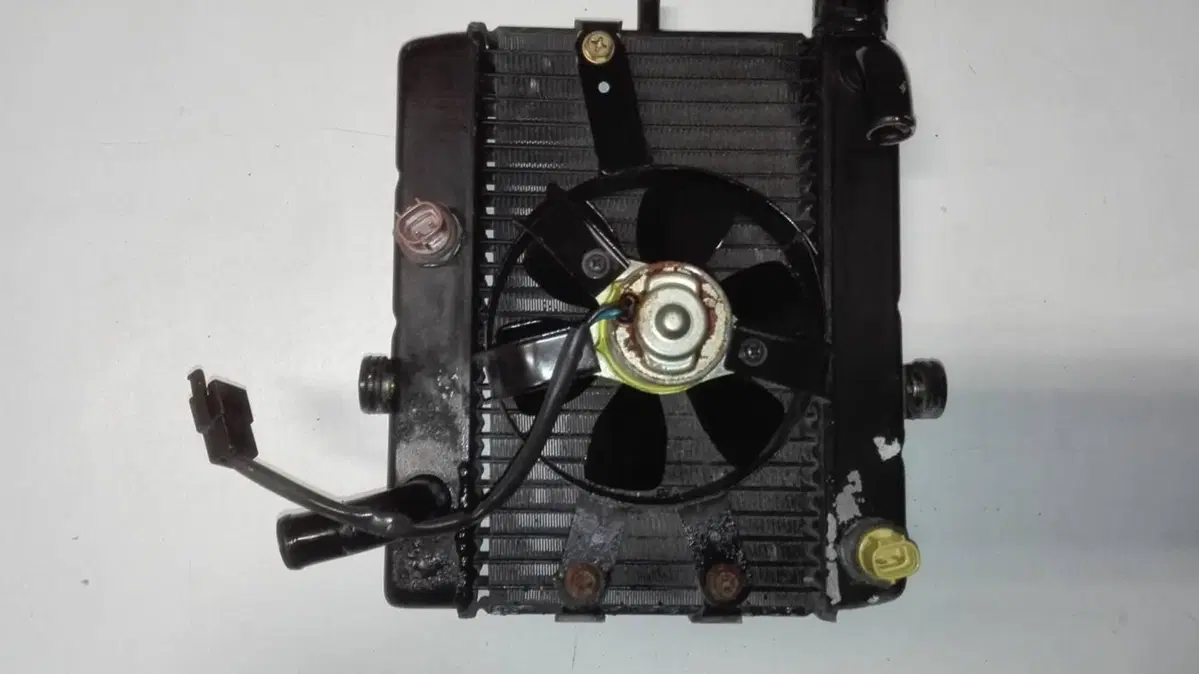 Radiatore Yamaha Majesty 250 (2)