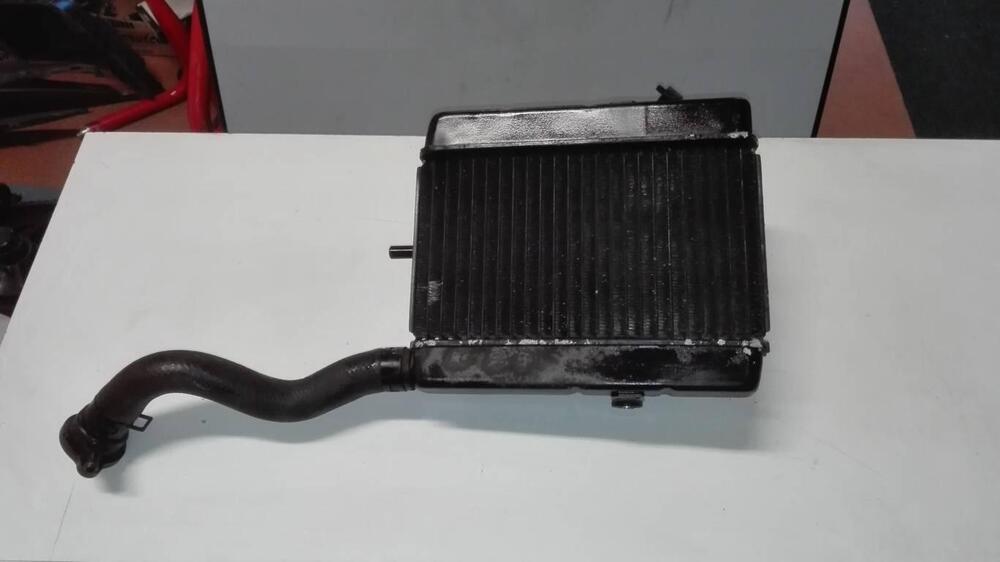 Radiatore Yamaha Majesty 250 (3)