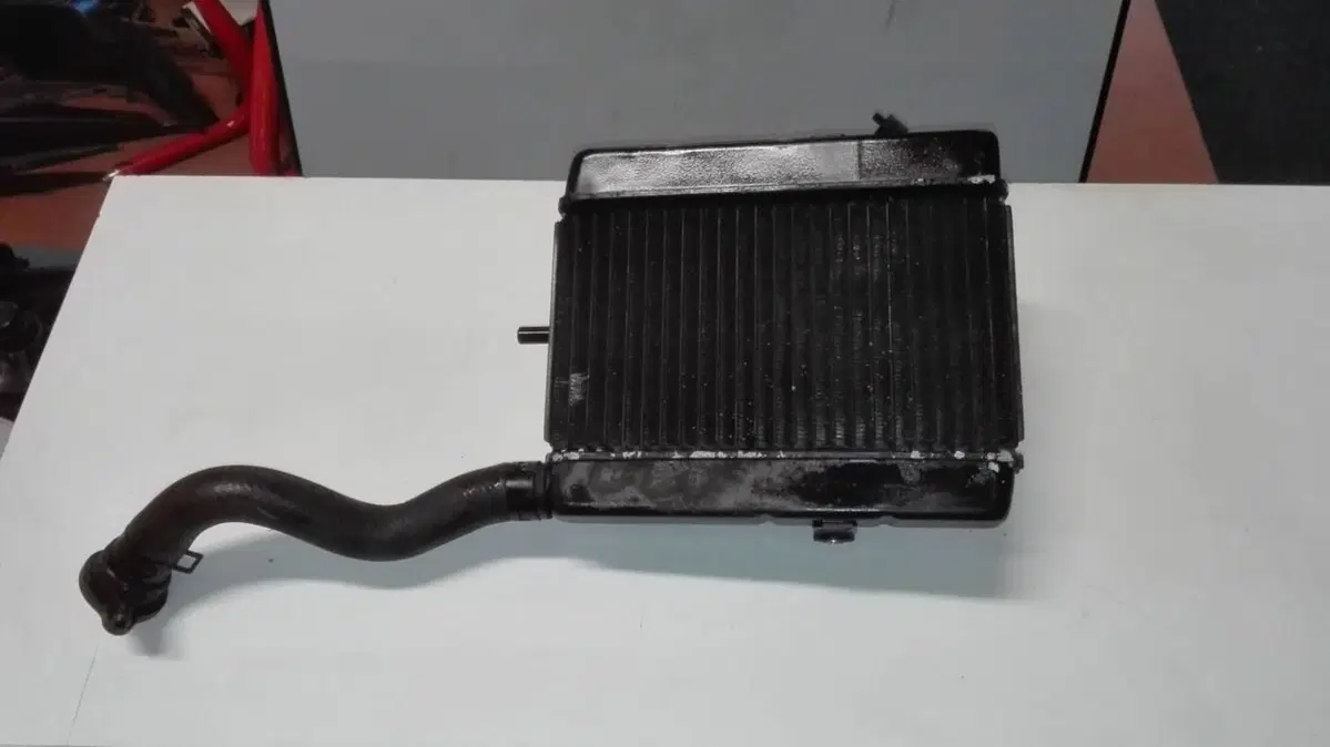 Radiatore Yamaha Majesty 250 (3)