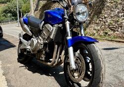 Honda Hornet 900 usata