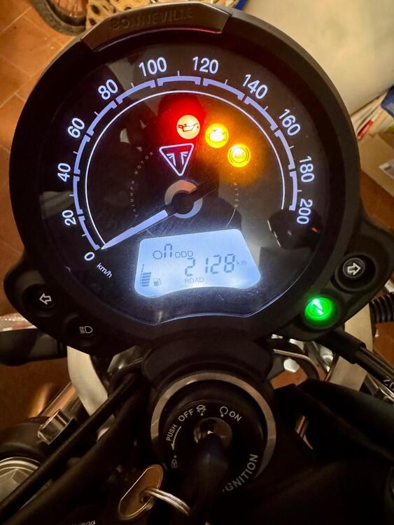 Triumph Speed Twin 900 (2023 - 24) (3)