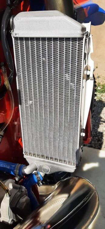 Betamotor RX 300 2T (2024 - 25) (5)