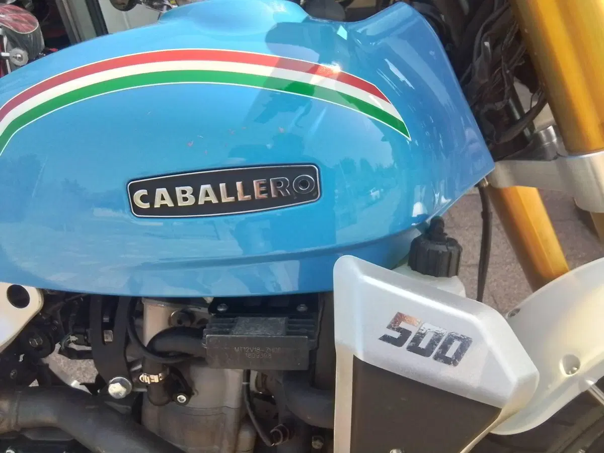 Fantic Motor Caballero 500 Flat Track (2018 - 21) (14)