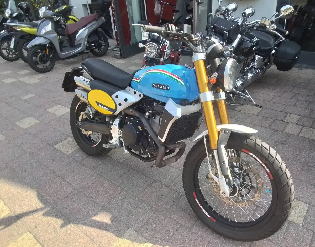 Fantic Motor Caballero 500 Flat Track (2018 - 21) (17)