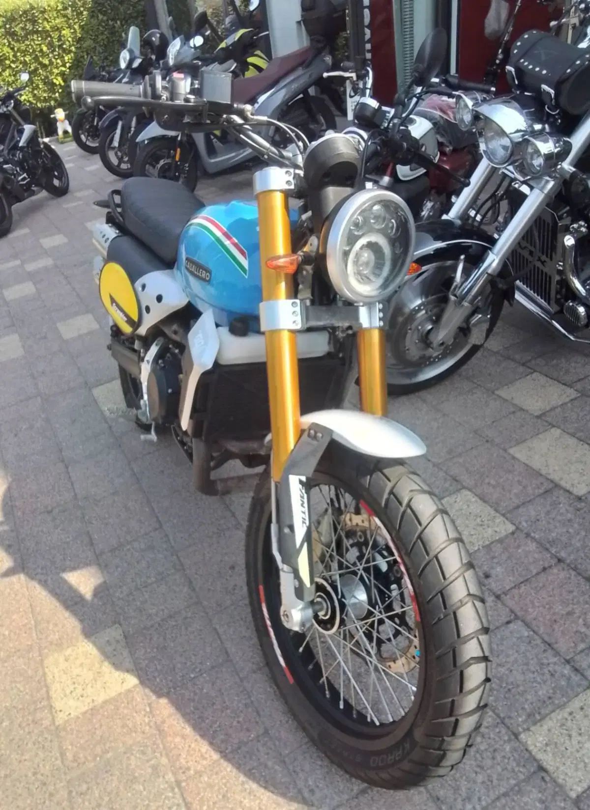 Fantic Motor Caballero 500 Flat Track (2018 - 21) (19)