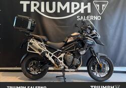 Triumph Tiger 1200 GT Pro (2022 - 23) usata