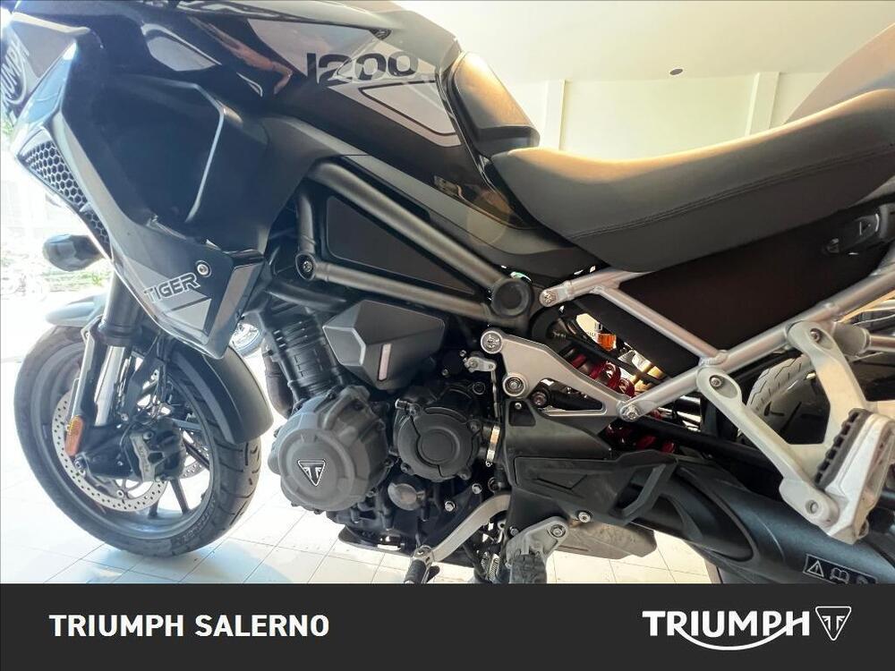 Triumph Tiger 1200 GT Pro (2022 - 23) (5)