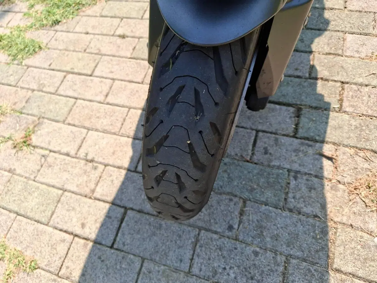 Kawasaki Ninja 1000 SX (2021 - 24) (6)